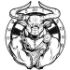 MINOTAUR