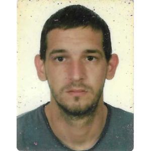 Valjak Damir